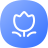 直播送花(huā)